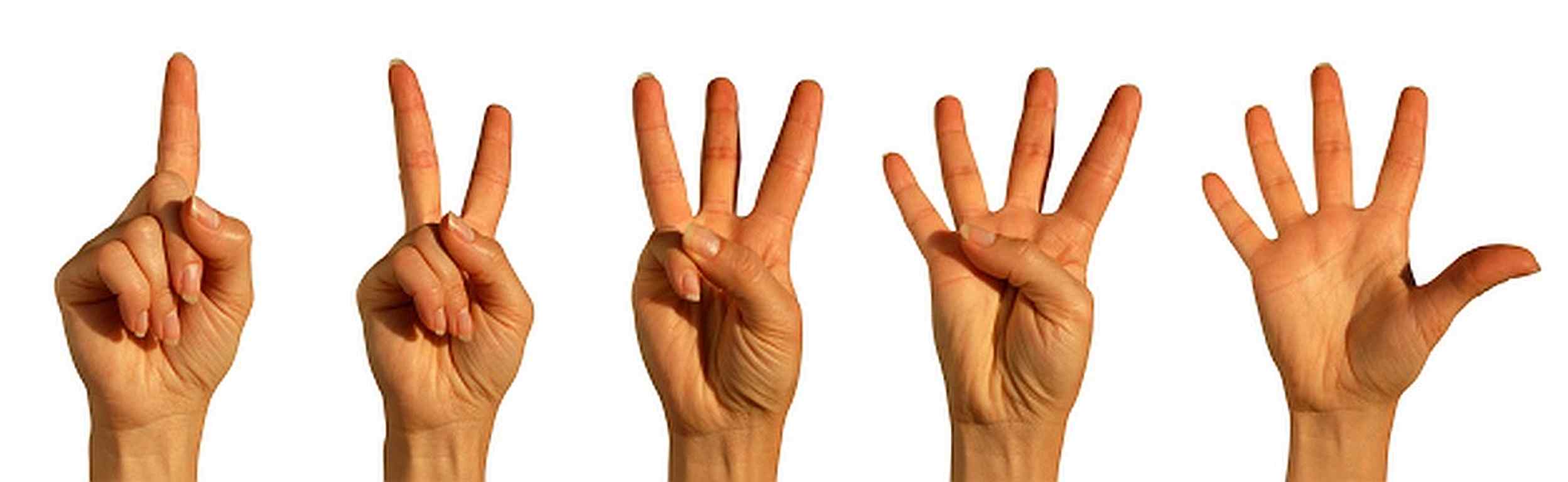 five-finger-voting.jpg