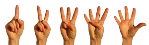 Five-Finger-Voting